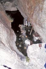 ���������� (Devil's Hole pupfish)  - ���� (����������)